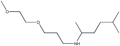 [3-(2-methoxyethoxy)propyl](5-methylhexan-2-yl)amine 구조식 이미지