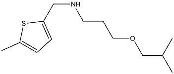 [3-(2-methylpropoxy)propyl][(5-methylthiophen-2-yl)methyl]amine 구조식 이미지