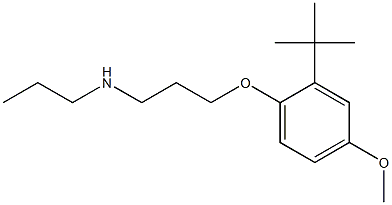 [3-(2-tert-butyl-4-methoxyphenoxy)propyl](propyl)amine 구조식 이미지