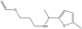 [3-(ethenyloxy)propyl][1-(5-methylthiophen-2-yl)ethyl]amine 구조식 이미지