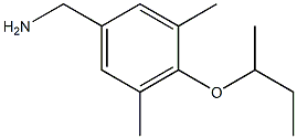 [4-(butan-2-yloxy)-3,5-dimethylphenyl]methanamine Structure