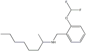 {[2-(difluoromethoxy)phenyl]methyl}(octan-2-yl)amine Structure