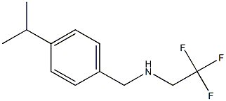 {[4-(propan-2-yl)phenyl]methyl}(2,2,2-trifluoroethyl)amine Structure