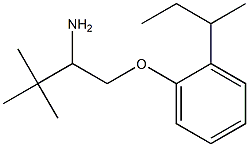 1-(2-amino-3,3-dimethylbutoxy)-2-(butan-2-yl)benzene 구조식 이미지