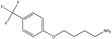 1-(4-aminobutoxy)-4-(trifluoromethyl)benzene 구조식 이미지