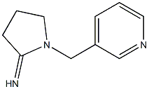 1-(pyridin-3-ylmethyl)pyrrolidin-2-imine 구조식 이미지