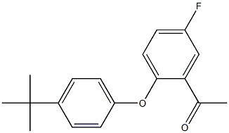1-[2-(4-tert-butylphenoxy)-5-fluorophenyl]ethan-1-one 구조식 이미지