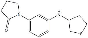 1-[3-(thiolan-3-ylamino)phenyl]pyrrolidin-2-one Structure