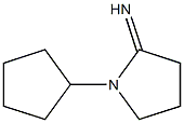 1-cyclopentylpyrrolidin-2-imine Structure