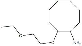2-(2-ethoxyethoxy)cyclooctan-1-amine 구조식 이미지