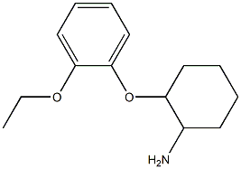 2-(2-ethoxyphenoxy)cyclohexan-1-amine Structure