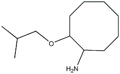 2-(2-methylpropoxy)cyclooctan-1-amine Structure