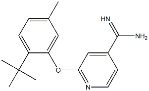 2-(2-tert-butyl-5-methylphenoxy)pyridine-4-carboximidamide Structure
