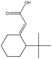 2-(2-tert-butylcyclohexylidene)acetic acid 구조식 이미지