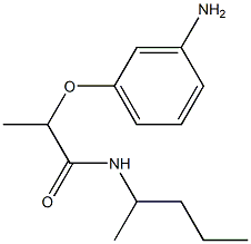 2-(3-aminophenoxy)-N-(pentan-2-yl)propanamide Structure