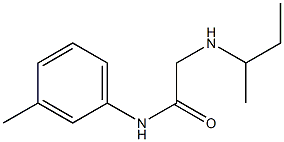 2-(butan-2-ylamino)-N-(3-methylphenyl)acetamide 구조식 이미지