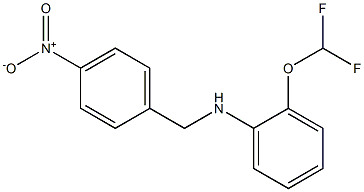 2-(difluoromethoxy)-N-[(4-nitrophenyl)methyl]aniline 구조식 이미지