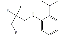 2-(propan-2-yl)-N-(2,2,3,3-tetrafluoropropyl)aniline 구조식 이미지