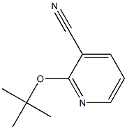 2-(tert-butoxy)pyridine-3-carbonitrile 구조식 이미지