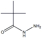 2,2-dimethylpropanohydrazide Structure