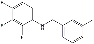 2,3,4-trifluoro-N-[(3-methylphenyl)methyl]aniline 구조식 이미지