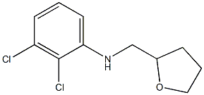 2,3-dichloro-N-(oxolan-2-ylmethyl)aniline Structure