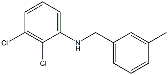 2,3-dichloro-N-[(3-methylphenyl)methyl]aniline Structure