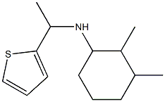 2,3-dimethyl-N-[1-(thiophen-2-yl)ethyl]cyclohexan-1-amine Structure