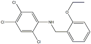 2,4,5-trichloro-N-[(2-ethoxyphenyl)methyl]aniline 구조식 이미지