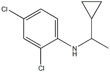 2,4-dichloro-N-(1-cyclopropylethyl)aniline Structure