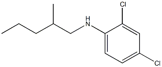 2,4-dichloro-N-(2-methylpentyl)aniline 구조식 이미지