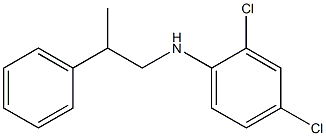 2,4-dichloro-N-(2-phenylpropyl)aniline 구조식 이미지