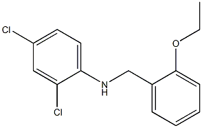 2,4-dichloro-N-[(2-ethoxyphenyl)methyl]aniline Structure