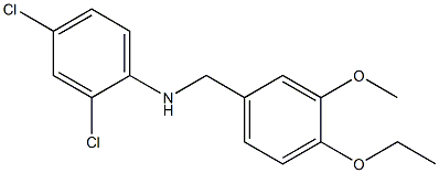 2,4-dichloro-N-[(4-ethoxy-3-methoxyphenyl)methyl]aniline Structure