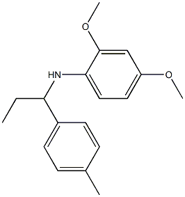 2,4-dimethoxy-N-[1-(4-methylphenyl)propyl]aniline 구조식 이미지