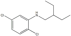 2,5-dichloro-N-(2-ethylbutyl)aniline Structure