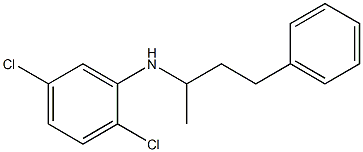 2,5-dichloro-N-(4-phenylbutan-2-yl)aniline 구조식 이미지