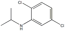 2,5-dichloro-N-(propan-2-yl)aniline Structure