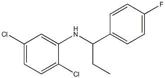 2,5-dichloro-N-[1-(4-fluorophenyl)propyl]aniline 구조식 이미지