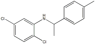 2,5-dichloro-N-[1-(4-methylphenyl)ethyl]aniline 구조식 이미지