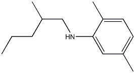 2,5-dimethyl-N-(2-methylpentyl)aniline Structure