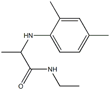2-[(2,4-dimethylphenyl)amino]-N-ethylpropanamide Structure