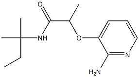 2-[(2-aminopyridin-3-yl)oxy]-N-(2-methylbutan-2-yl)propanamide 구조식 이미지