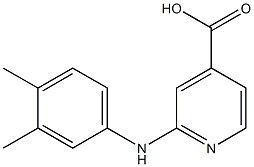 2-[(3,4-dimethylphenyl)amino]pyridine-4-carboxylic acid Structure