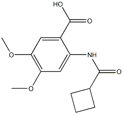 2-[(cyclobutylcarbonyl)amino]-4,5-dimethoxybenzoic acid Structure