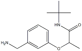 2-[3-(aminomethyl)phenoxy]-N-tert-butylpropanamide Structure