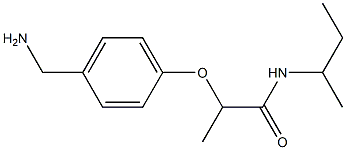 2-[4-(aminomethyl)phenoxy]-N-(butan-2-yl)propanamide 구조식 이미지