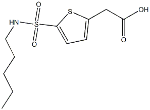 2-[5-(pentylsulfamoyl)thiophen-2-yl]acetic acid 구조식 이미지
