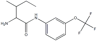 2-amino-3-methyl-N-[3-(trifluoromethoxy)phenyl]pentanamide Structure