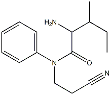 2-amino-N-(2-cyanoethyl)-3-methyl-N-phenylpentanamide 구조식 이미지